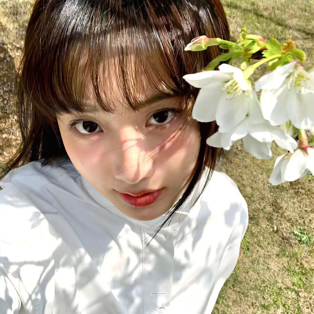 纯白的声音国语